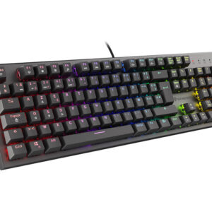 GAMING KEYBOARD GENESIS THOR 300 RGB FR